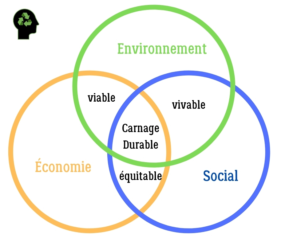 Les trois piliers du développement durable.