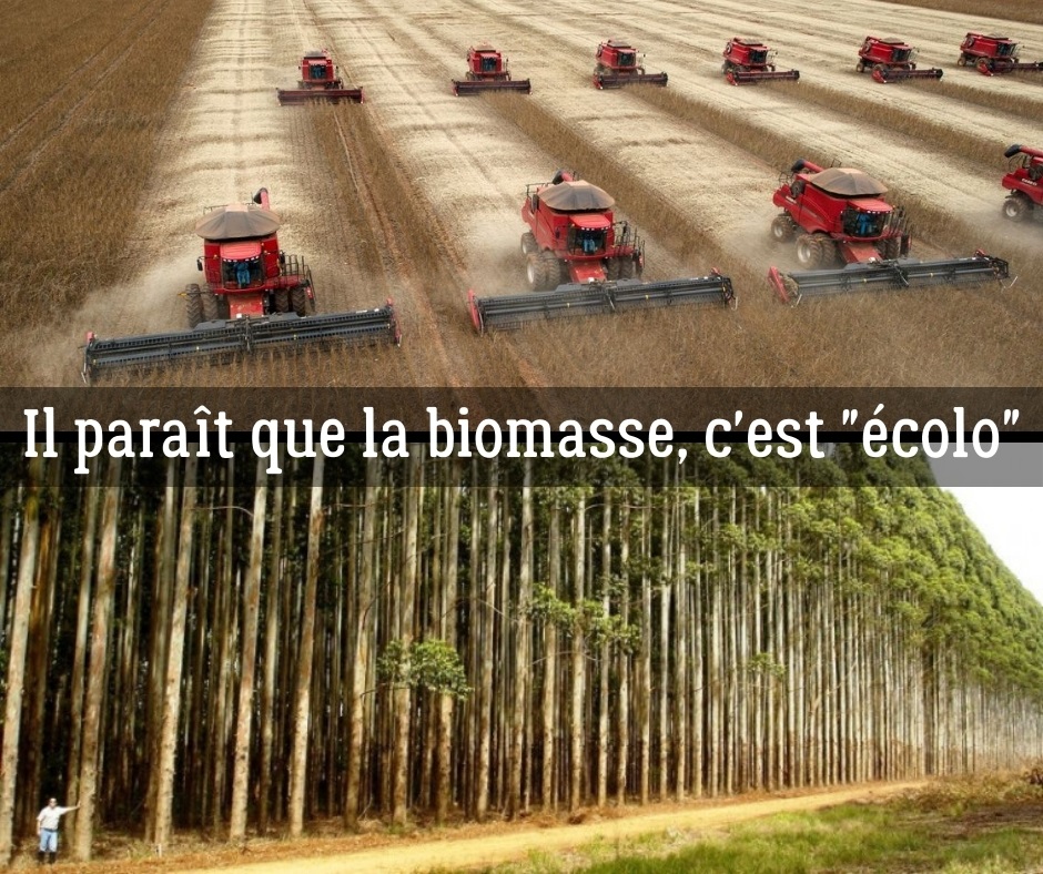Définition de l'énergie biomasse.