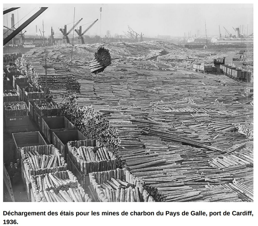 Bois utilisé pour extraire du charbon dans une mine d'Angleterre